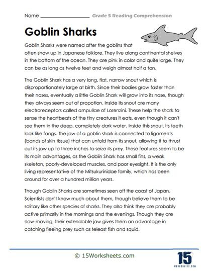  grade 5 reading comprehension worksheets