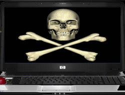 Microsoft'u delirten hacker!