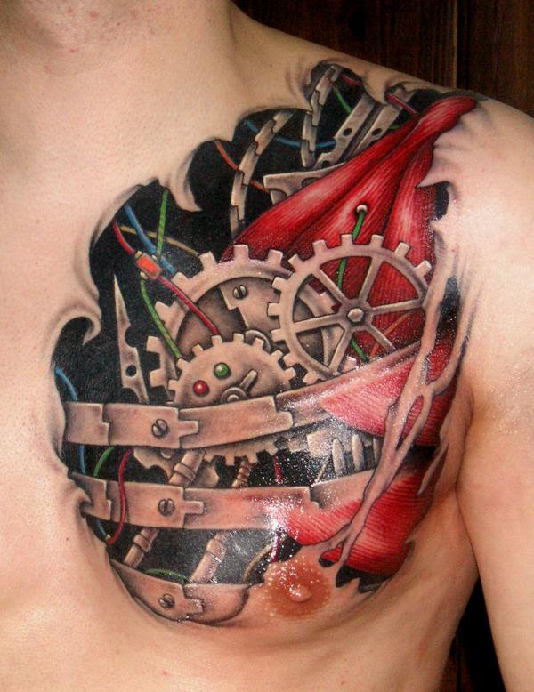 Biomech 6