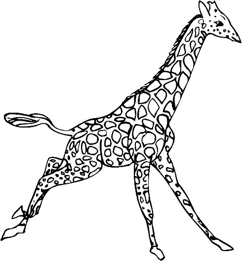 Kleurplaten En Zo Kleurplaten Van Giraffe