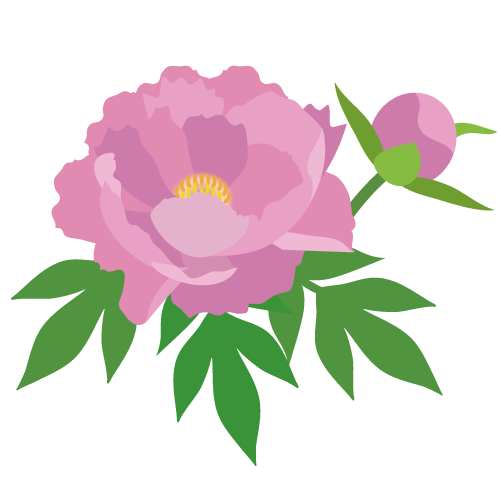 牡丹の花 ふでこや 無料沖縄イラスト