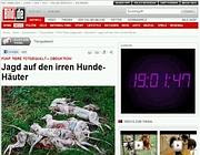 La notizia dei cinque cani sul quotidiano tedesco «Bild»