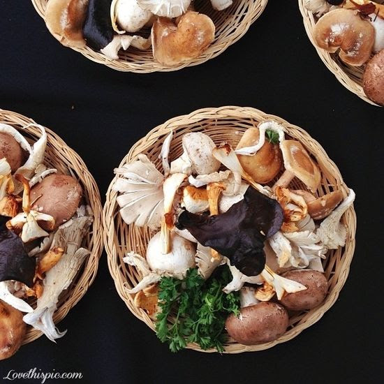 Mushrooms healthy food healthy eating vegetables healthy eating snacks healthy eating appetizers healthy eating pictures healthy food ideas healthy food pictures