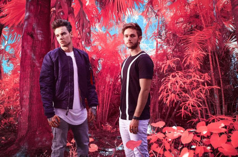 Resultado de imagen de Liam Payne y Zedd