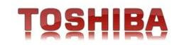 Toshiba Westbury IT photo TOSHIBA_zpsc58f8a7e.jpg