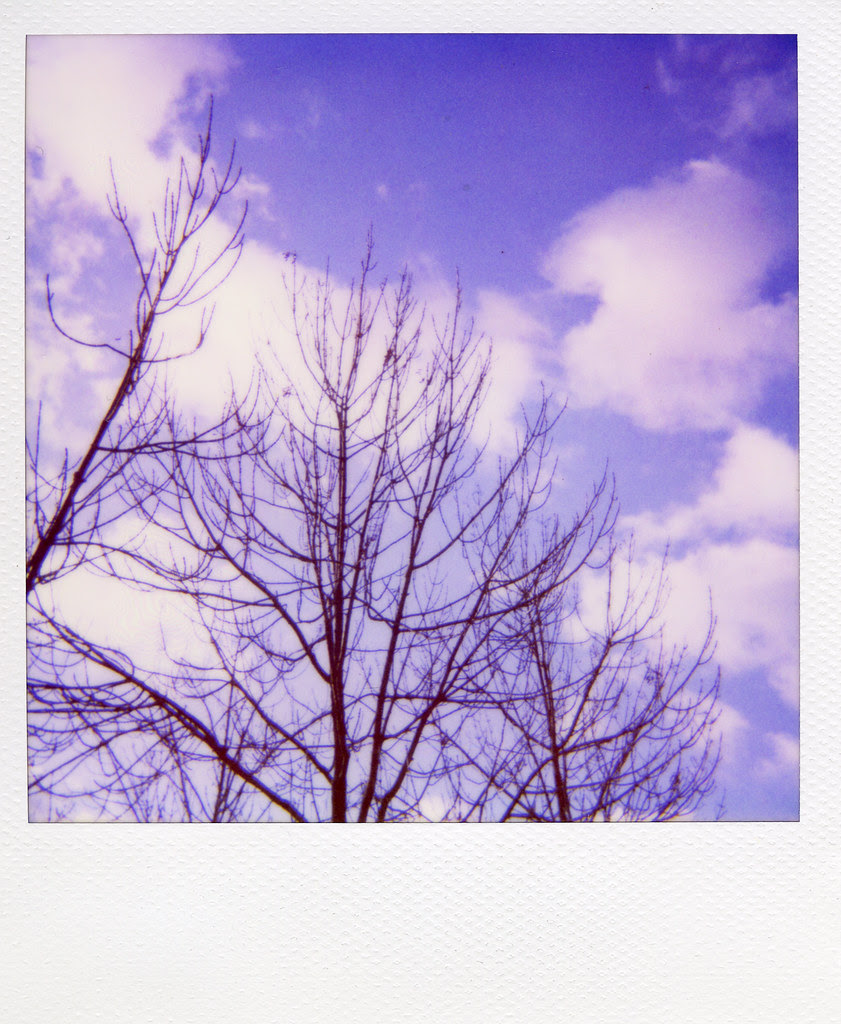 saturday morning