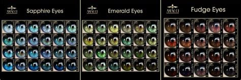  eye color chart natural eyes cool eyes
