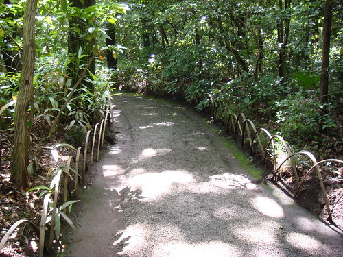 Meiji Shrine's Inner Garden (Tokyo) [1]