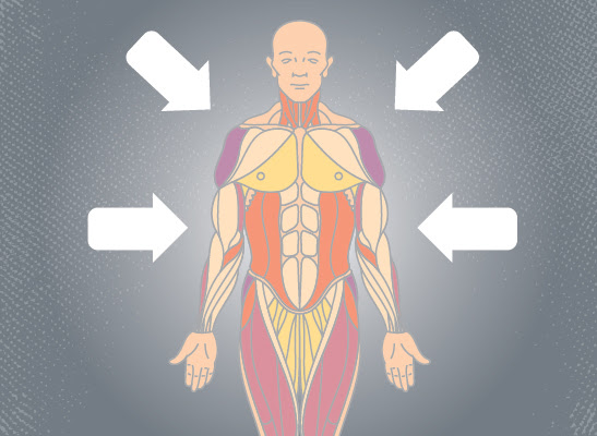Recursos para aprender el cuerpo humano