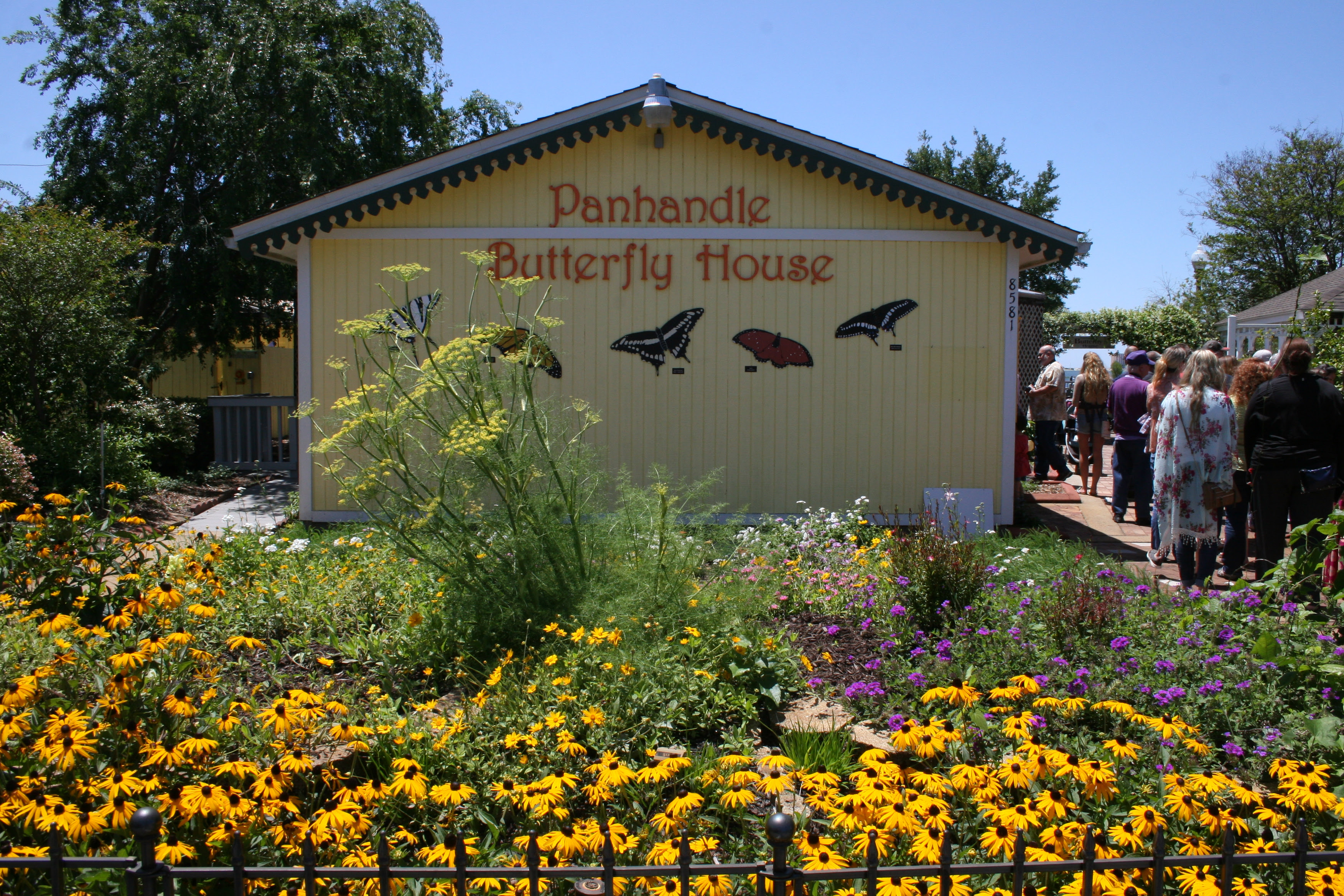 New Butterfly House facility planned for Navarre Park ...