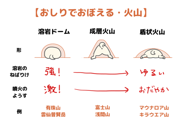 中学理科 火山の分類 パグまんが めー語