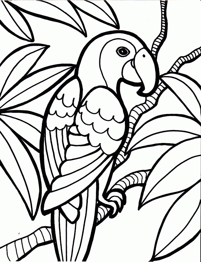 Coloring Pages Birds Printable / Bobolink Coloring Page - Bird Watching Academy : Free coloring pages to print or color online.