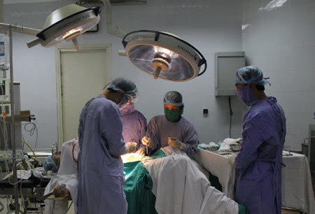 chuyện phòng the, đứt tinh hoàn, dương vật, thụ tinh, đứt cậu nhỏ