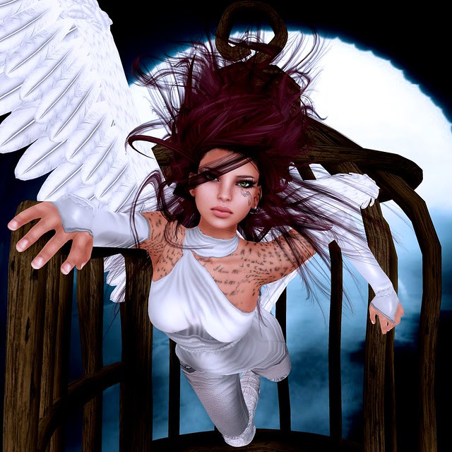 Hair Fair 1 - SECOND PLACE WINNER!