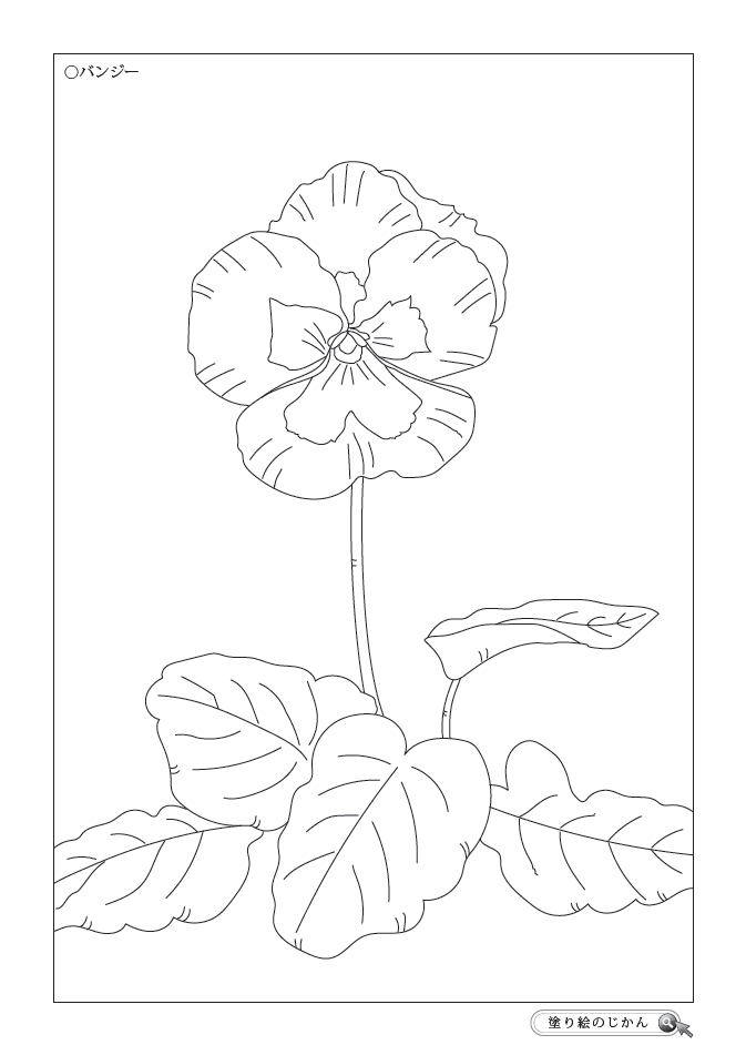 1月の花ぬりえ 塗り絵のじかん