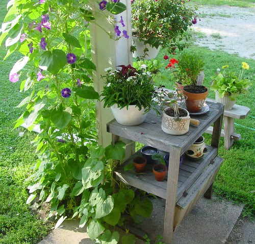Glories and others.
