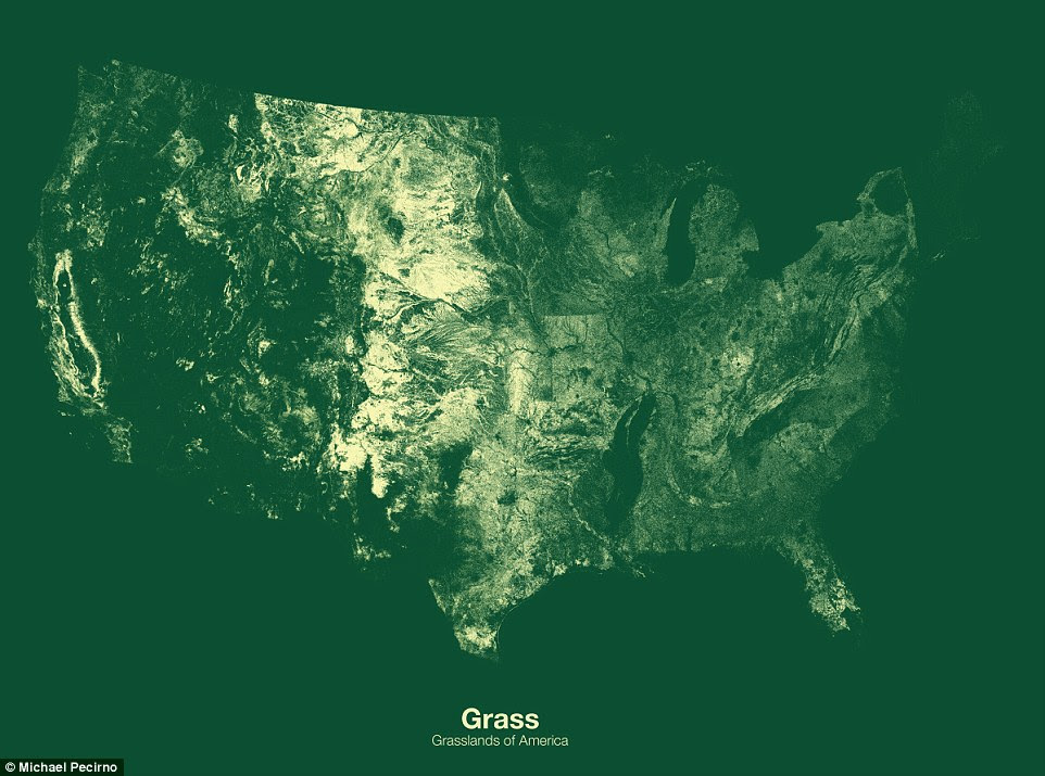 Using minimalist maps of the US landscape that single out specific features, London-based designer Michael Percirno is hoping to give people a better understanding of the US landscape. This map shows the grasslands of America. Much of these prairielands have been converted into some of the richest agricultural regions on Earth