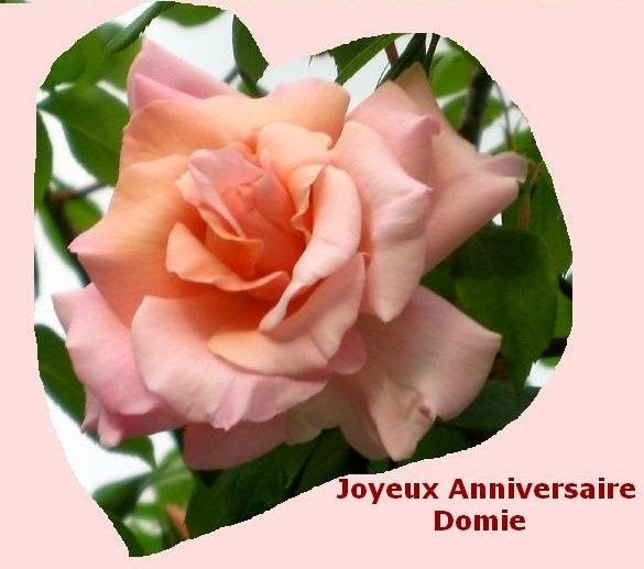 Joyeux Anniversaire Domie