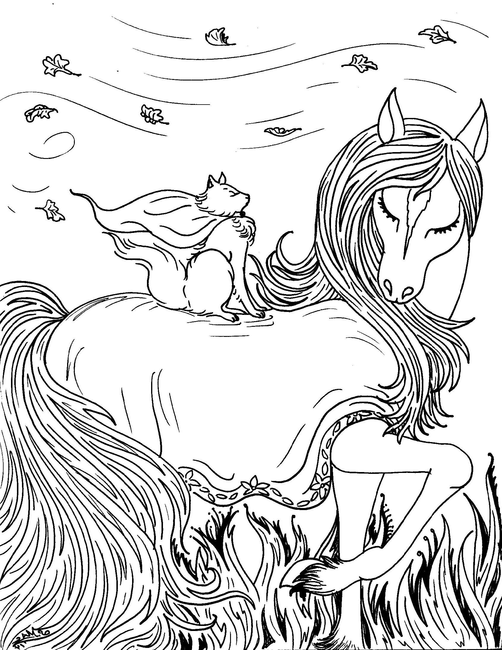 Coloriage chat et cheval