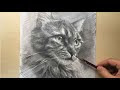 √100以上 猫 イラスト リアル 鉛筆 219651-かわいい 鉛筆 猫 イラスト リアル