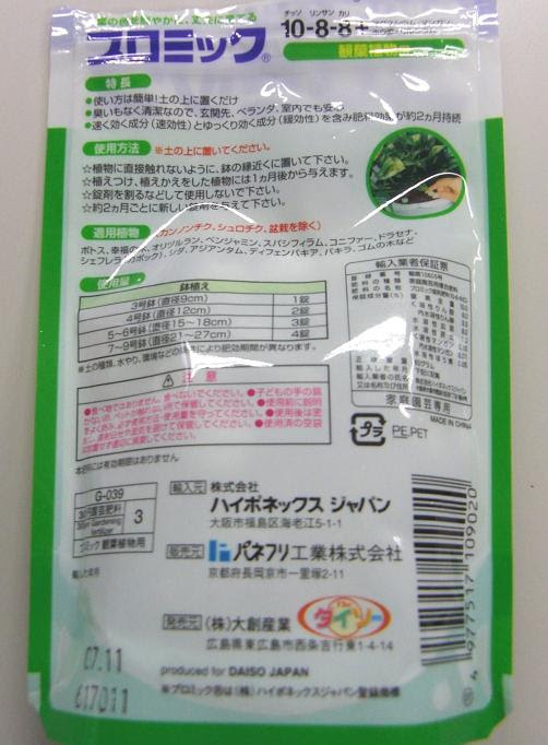 観葉植物その後 みつまさくんのなかよし通信