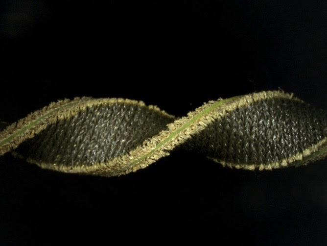 FabricSensor art