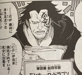 ワンピースの登場人物 モンキー D ドラゴン ワンピースデータベース