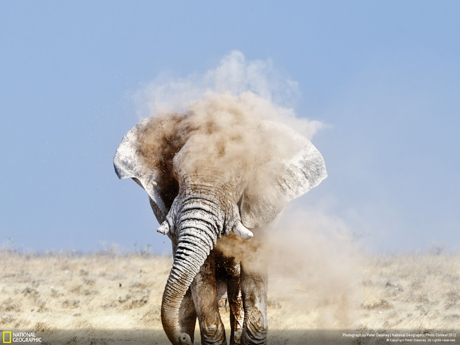 Etosha, Namibia