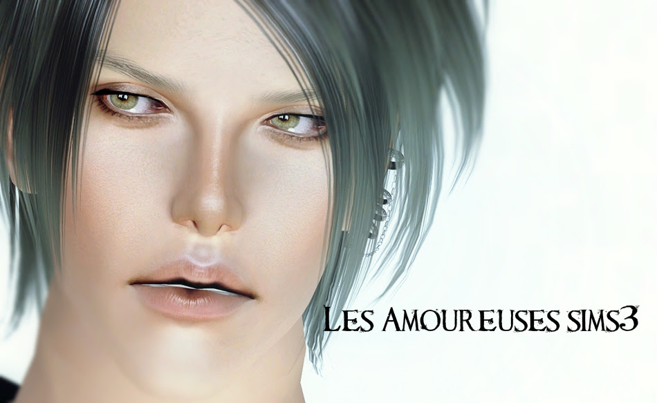 Les Amoureuses Sims3 Category Skyrim Mod環境