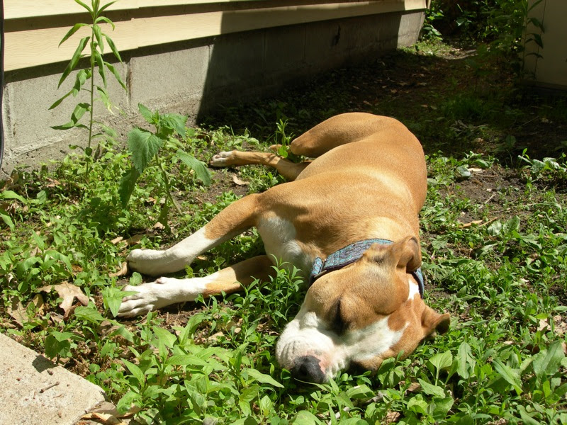 DSCN5041.JPG