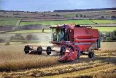 "As you sow, so shall you reap..."