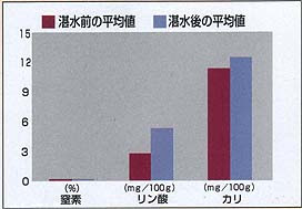 冬期湛水水田