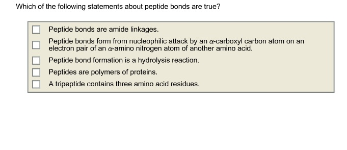Which Of The Following Statements About Peptide ...