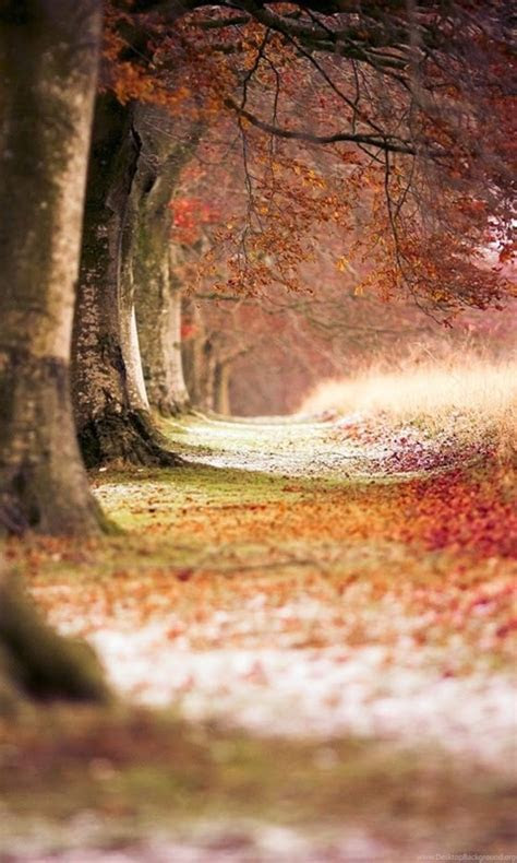 background images  photo editing   desktop