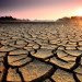 hottest july, july warmest month, 2015 warmest year ever, july hottest month, warmest july, warm weather, climate change, greenhouse gasses