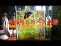 [コンプリート！] ベタ 砂利なし 348168-ベタ 砂利なし