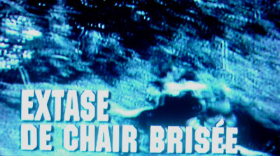 Extase De Chair Brisee