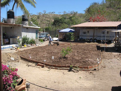 Prepared for the sod