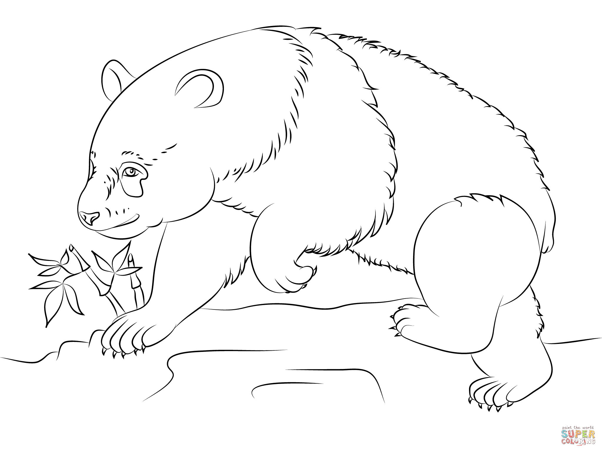 Clicca su disegni da colorare di Panda