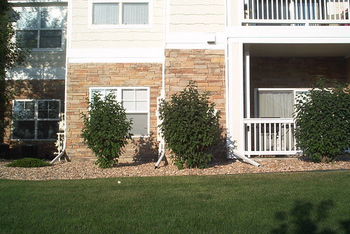 Curb Side Appeal 2
