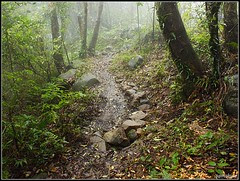 DSC01933