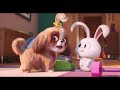 √ 壁紙 ペット 映画 うさぎ 高 画質 160372