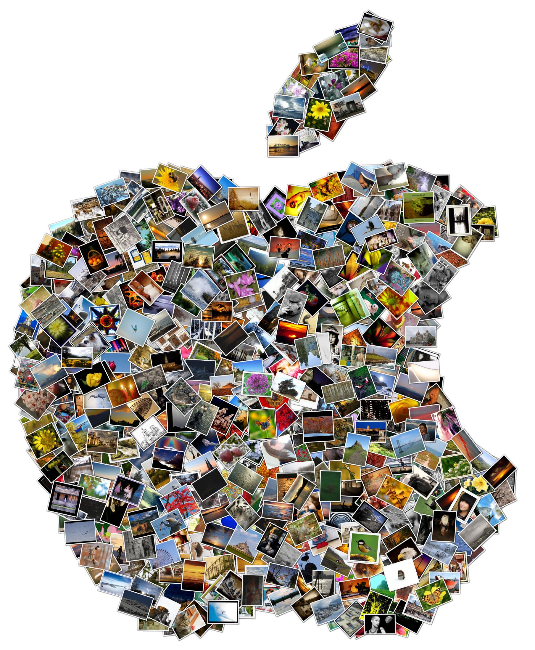 Shape Collage Gallery
