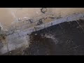 Video Севастопольский пр-т 28/3 прорыв в подвале
