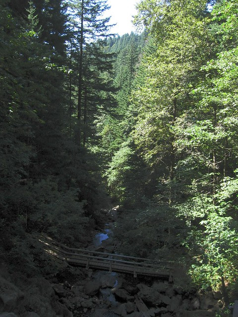 Rodney Falls