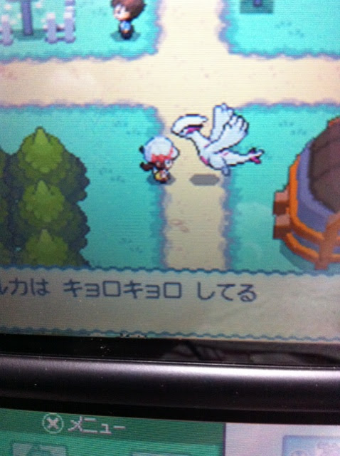 色違いに釘付け ルギア Ss