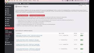 Automatic WordPress Website Backups