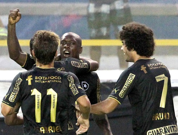 Seedorf comemora gol do Botafogo contra o Macaé (Foto: Ag. Estado)