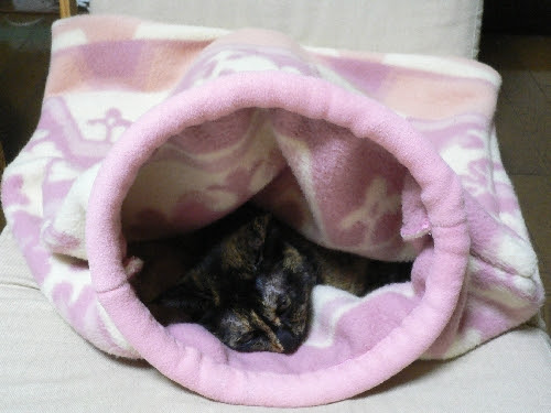 手作り猫袋のその後 さび猫アンちゃんの毎日 ママのつぶやき
