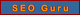 Seo Guru